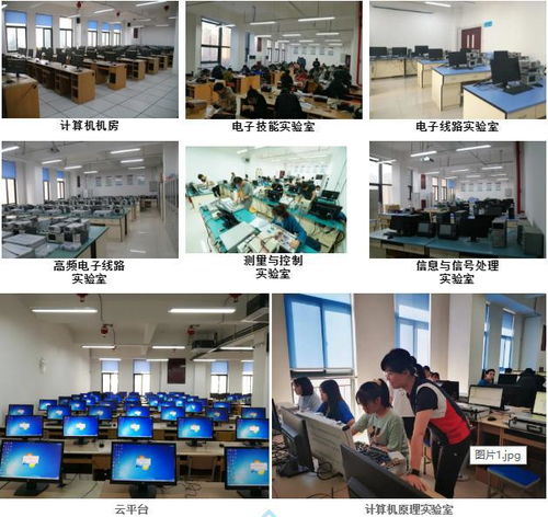 院系篇丨信息科學與技術學院 聚焦軟件工程與網絡技術開發的創新搖籃